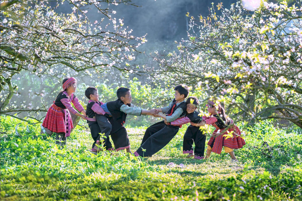 Mùa hoa mận Mộc Châu